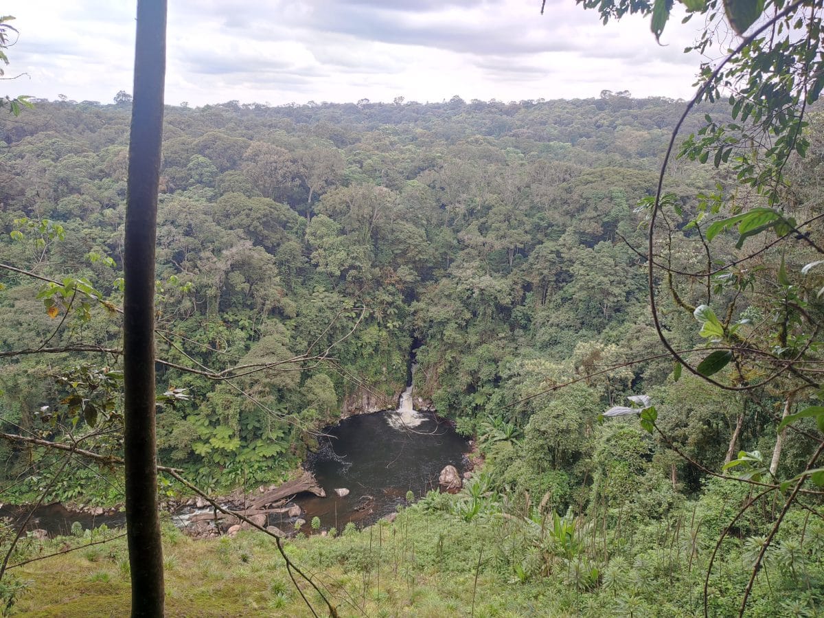 Kathandeni Forest Hike photo 3
