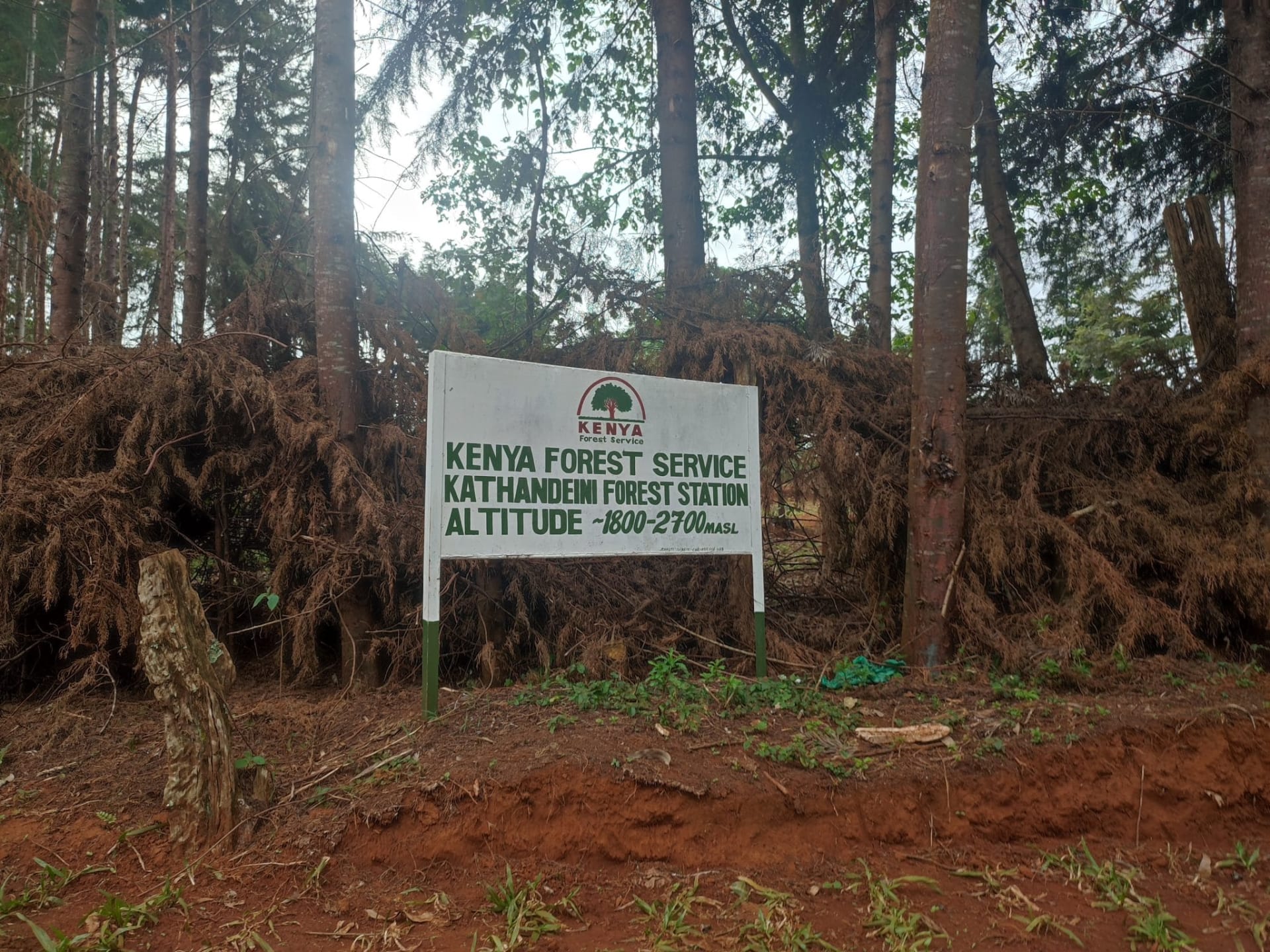Kathandeni Forest Hike photo 4