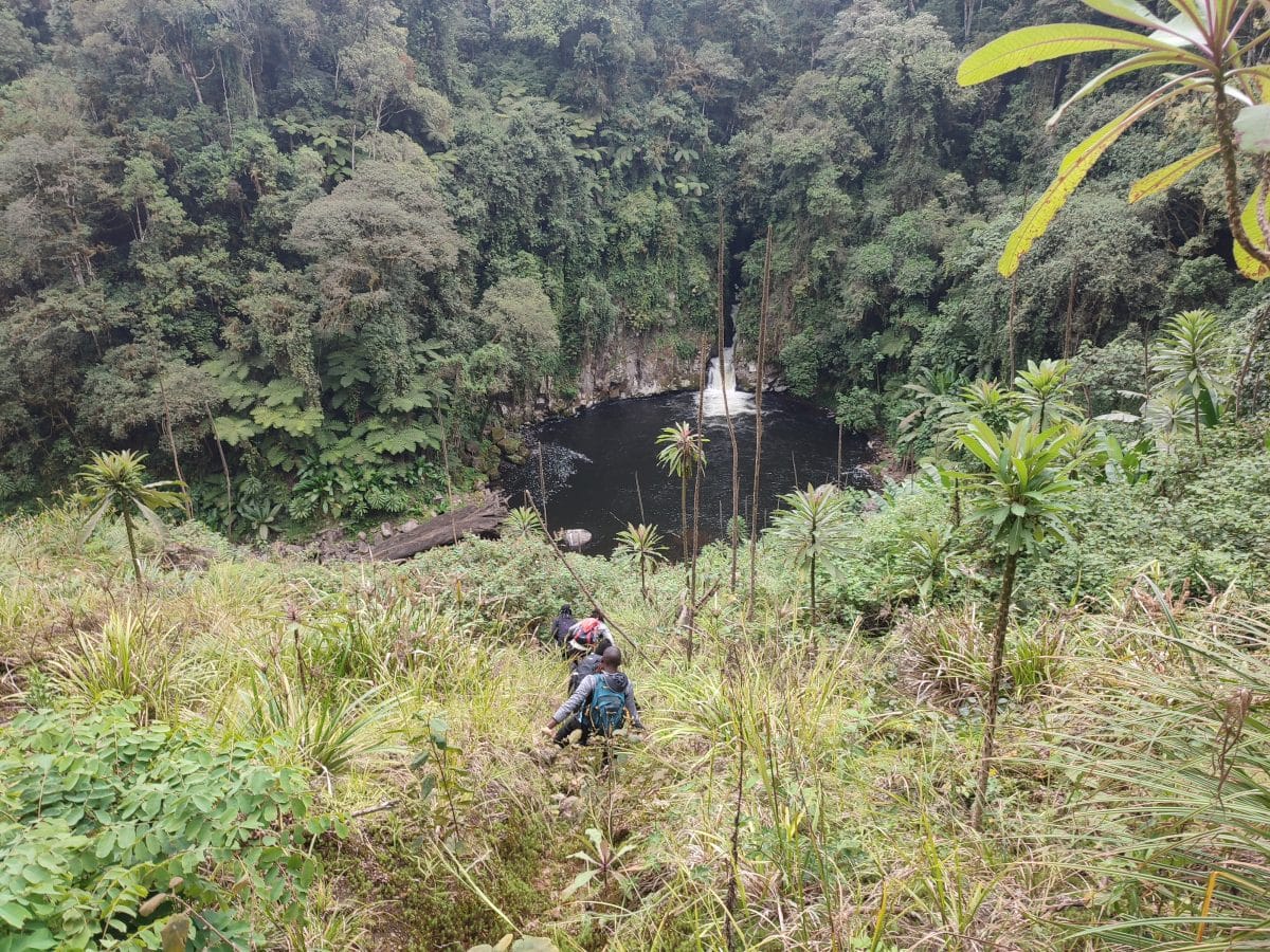 Kathandeni Forest Hike photo 5