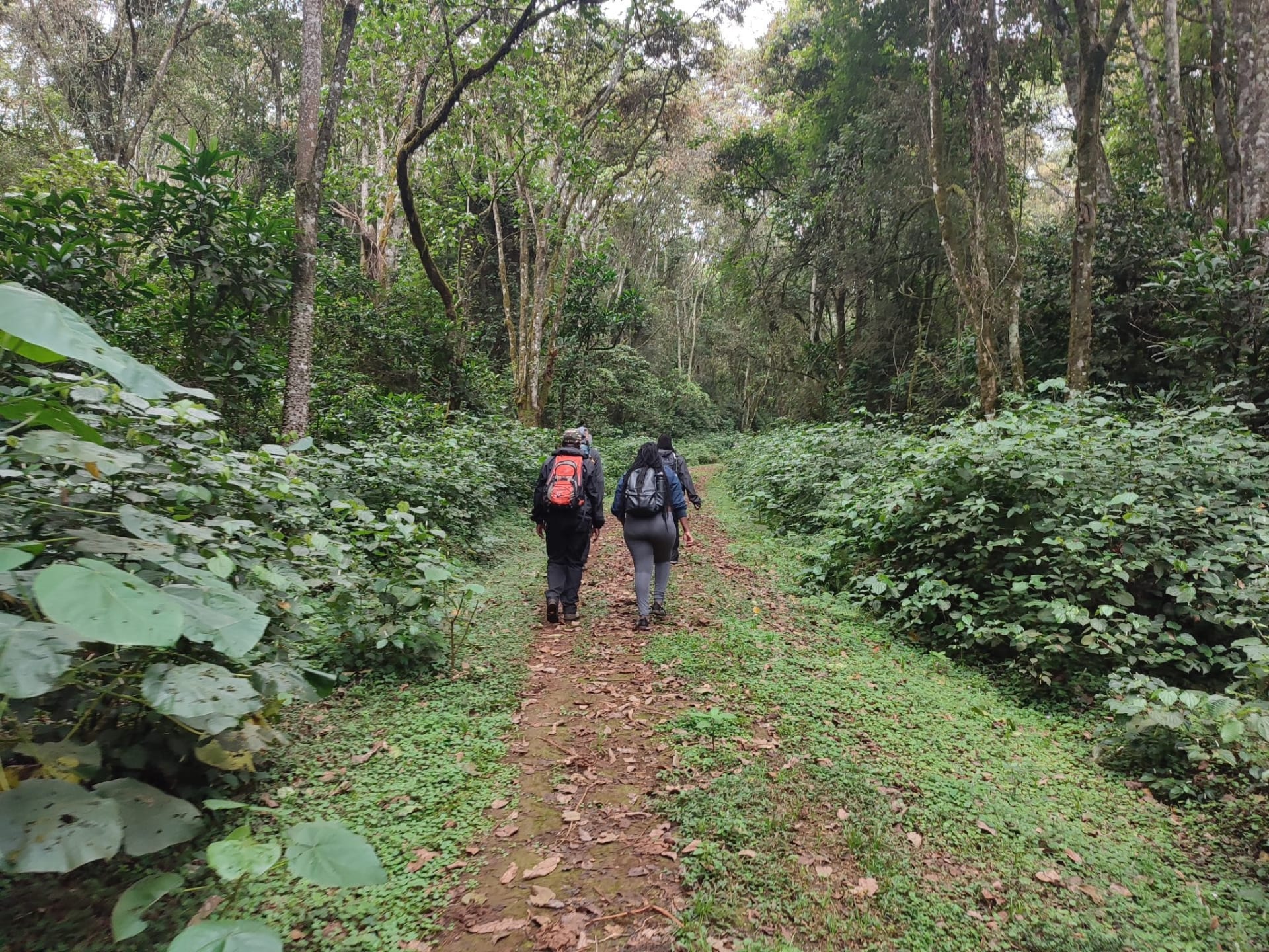 Kathandeni Forest Hike