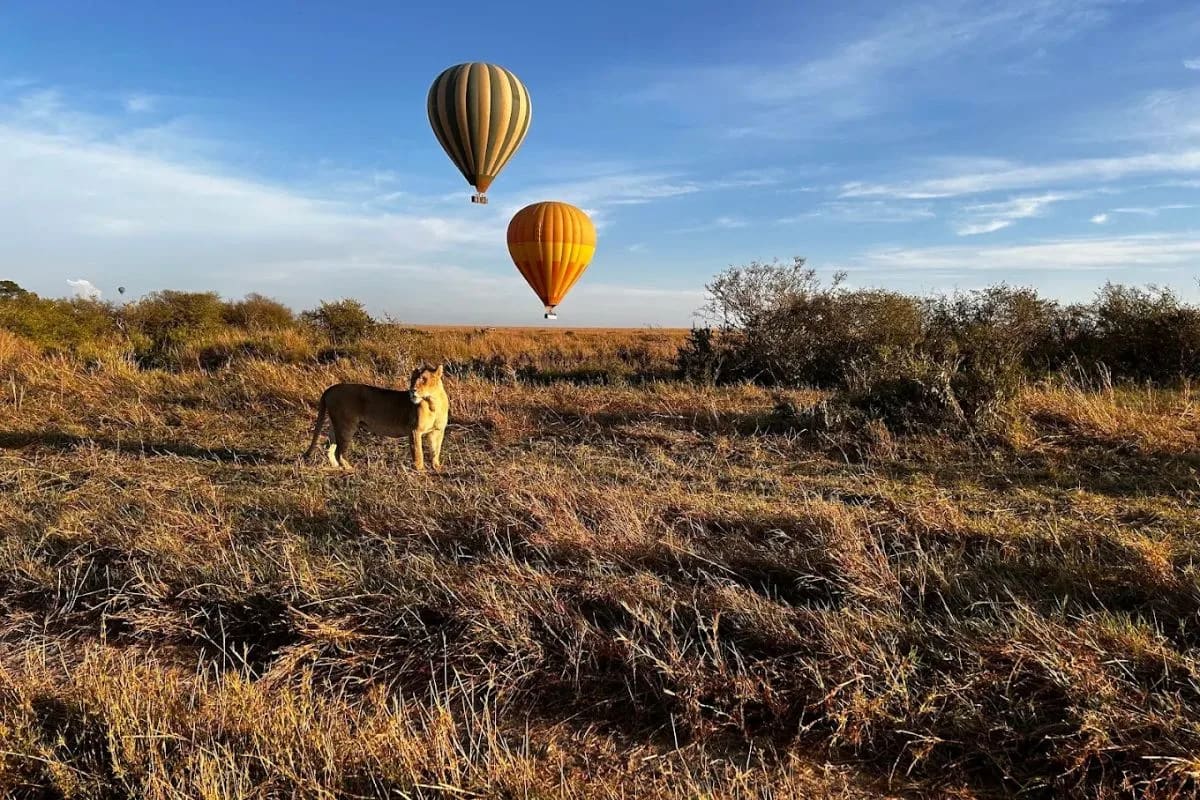 Mara Migration Special photo 4