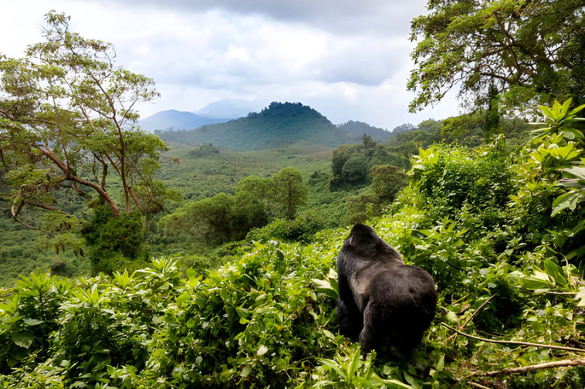 Nairobi to Rwanda Overland Adventure photo 5