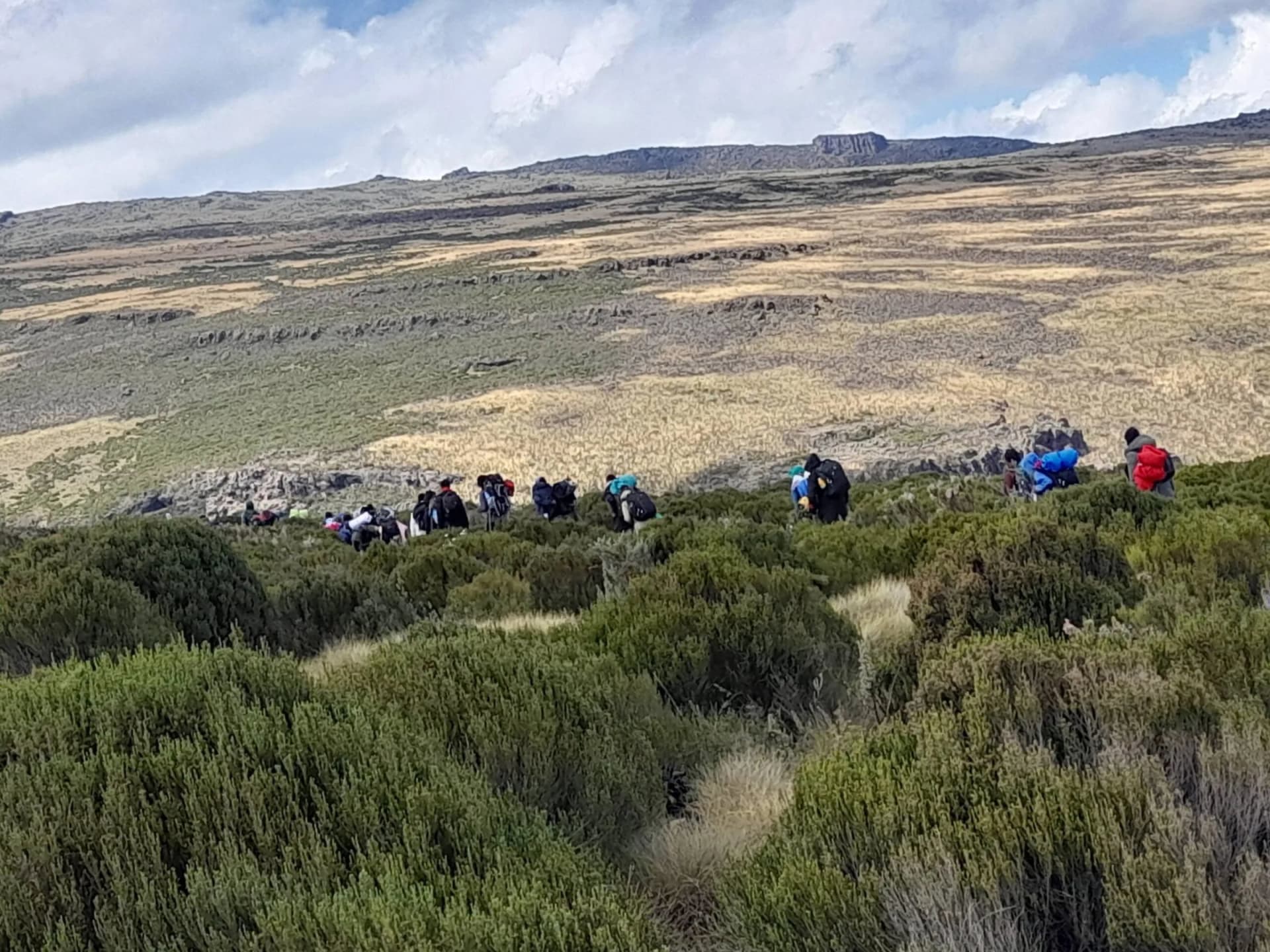 Mt. Kenya Hike: Chogoria Route to Point Lenana photo 4