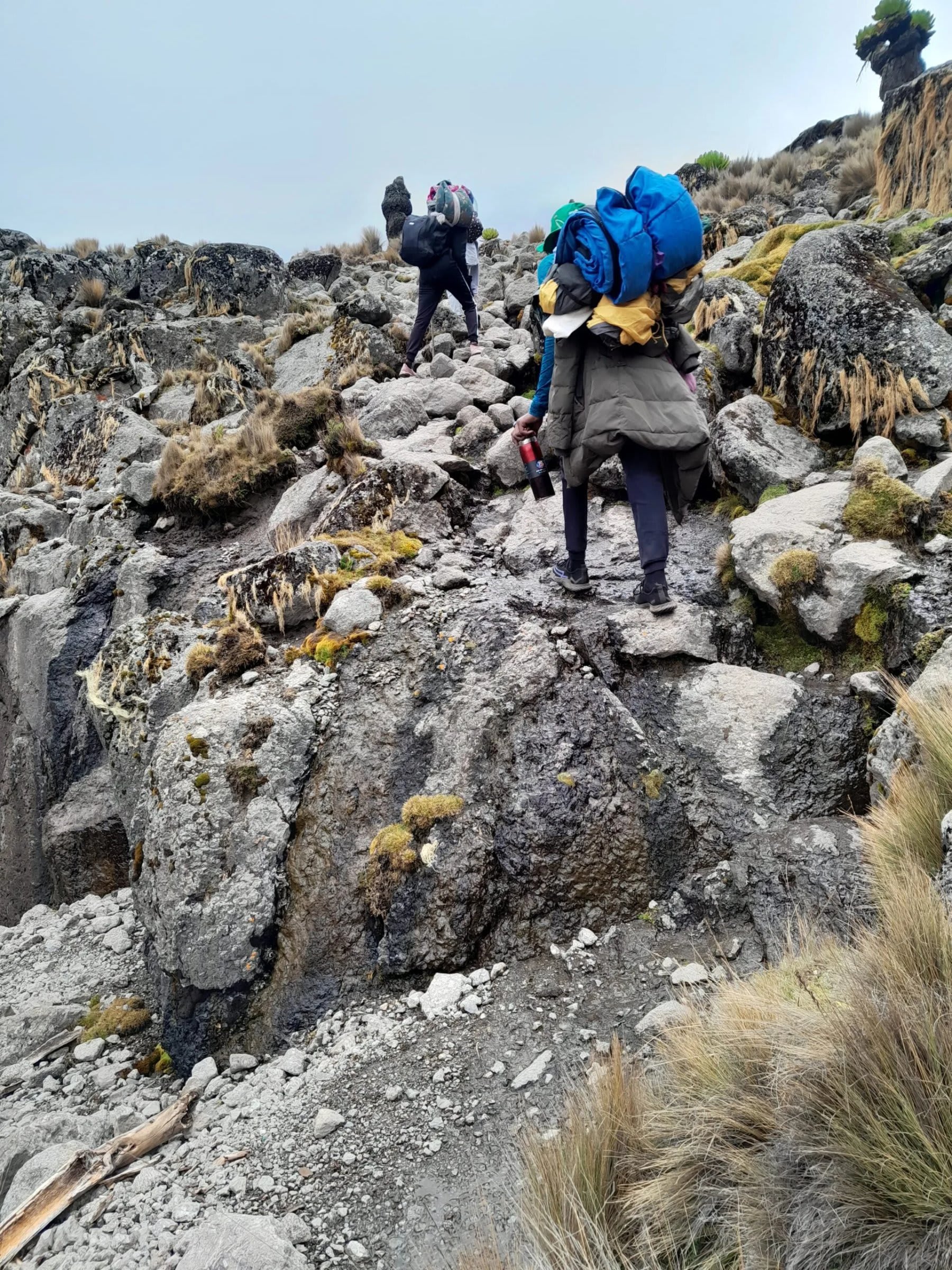 Mt. Kenya Hike: Chogoria Route to Point Lenana photo 5