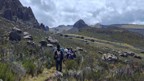 Safarizuru guests on a group hike