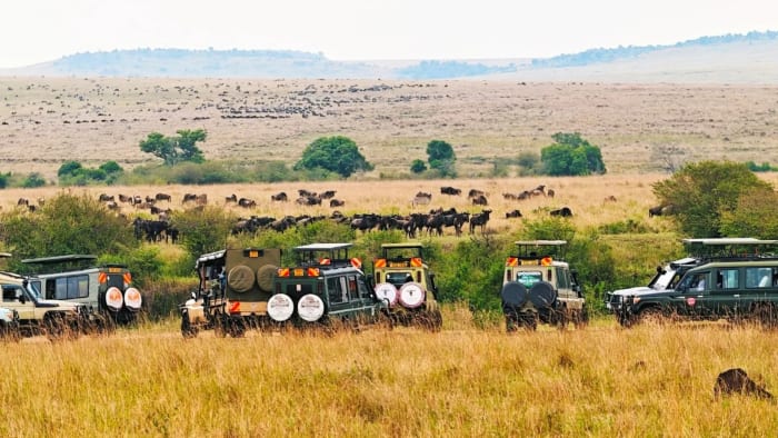 Safarizuru travellers on a group trip in Kenya