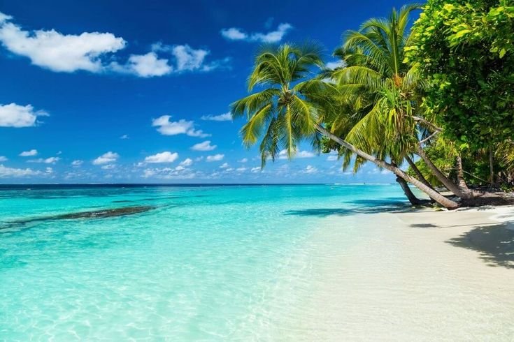 Punta Cana | 2027