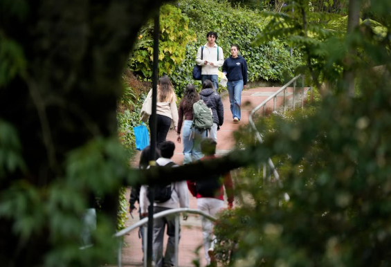 Estudios de Admitidos no matriculados
