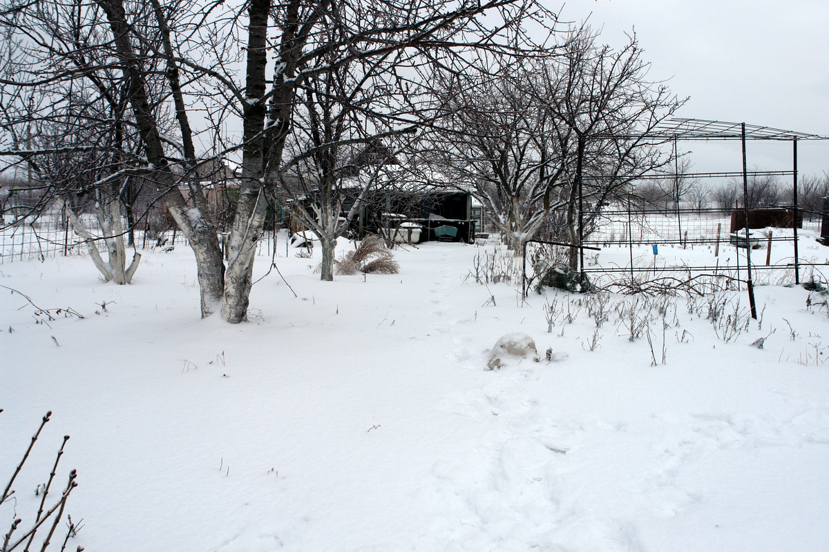 зима на даче