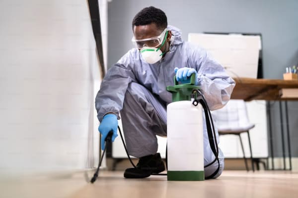 Structural drying and dehumidification equipment in a Green Bay home