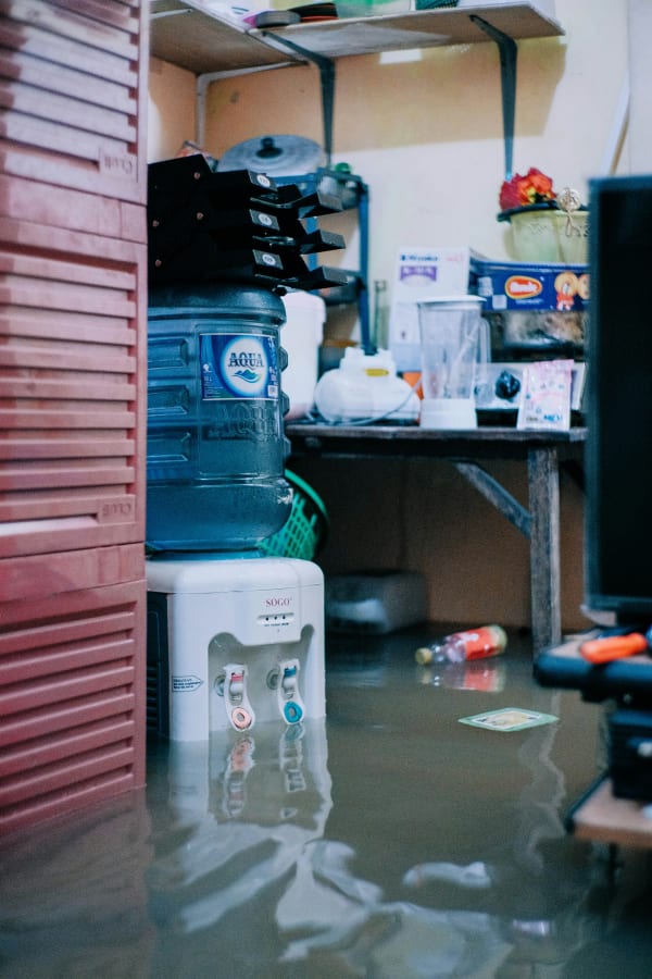 Water damage guide
