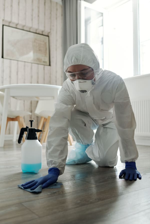 Mold remediation and removal service in Green Bay WI