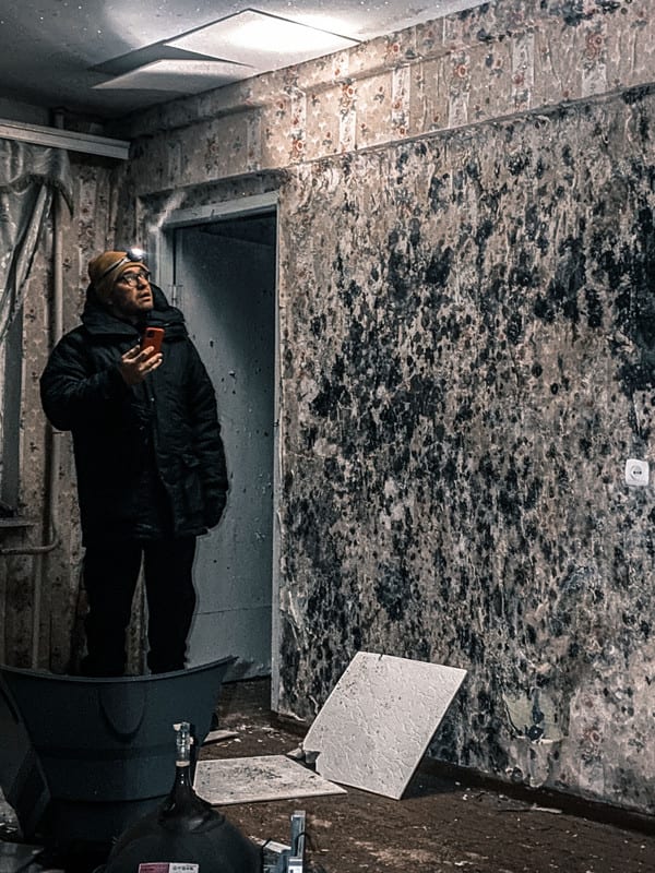 Black mold removal specialist in Green Bay WI