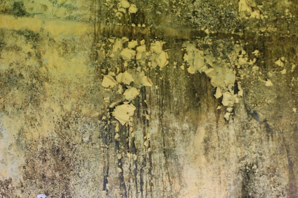 Green Bay Wisconsin residential neighborhood served by our mold remediation team
