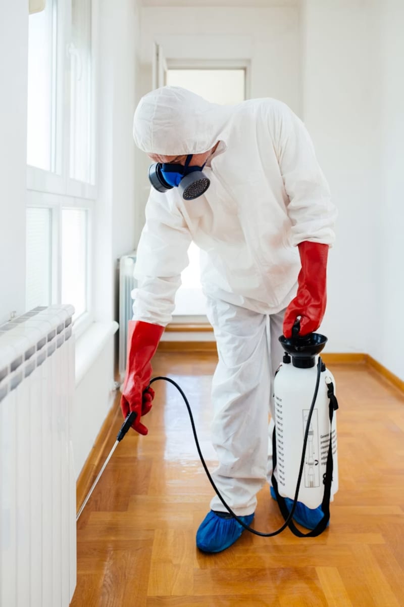 Certified mold remediation technician removing mold in a Wisconsin home