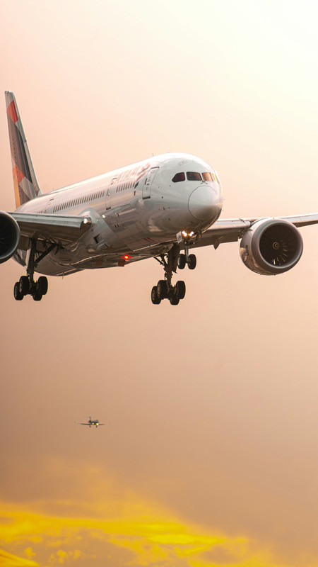 JAL Japan Airlines aircraft exterior