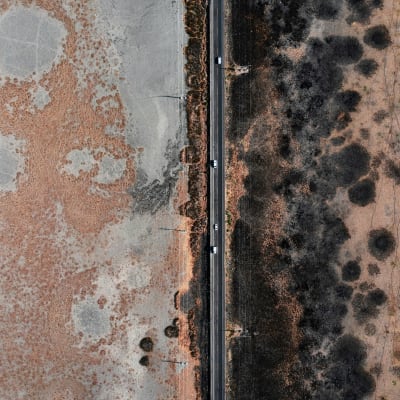 Mold Remediation in Ventura County