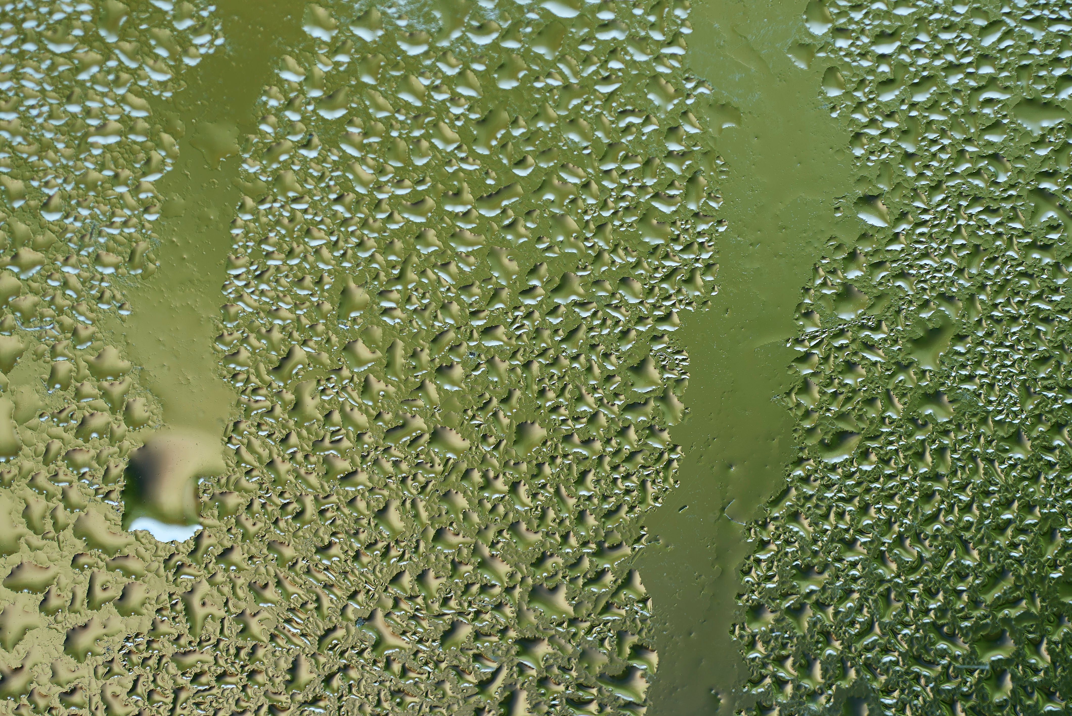 Musty or damp odors indicating hidden water damage