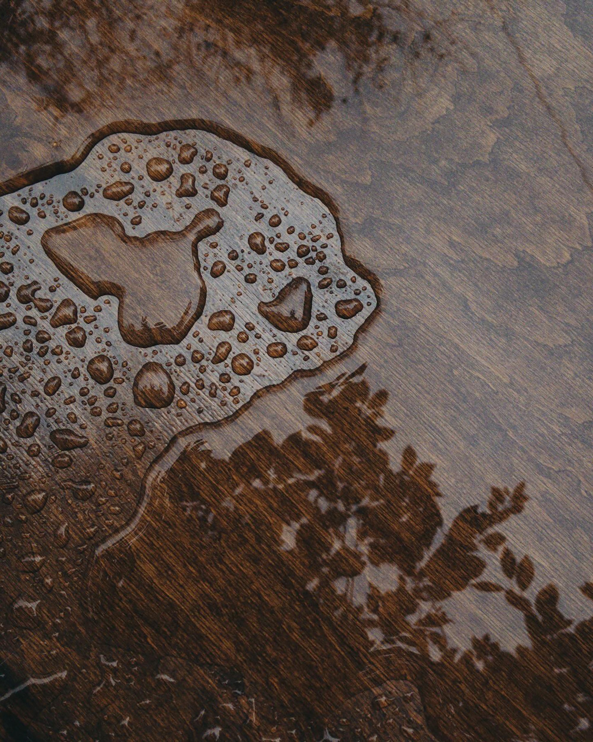 Stains and discoloration from hidden water damage