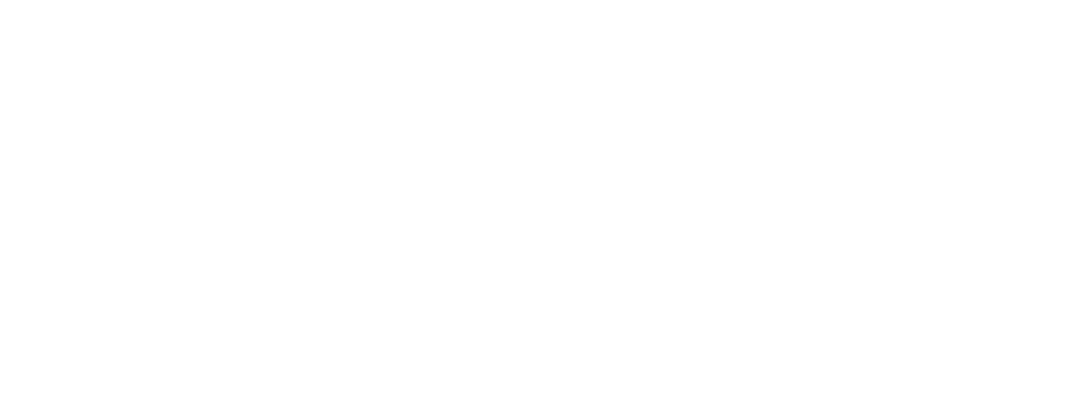 Partner Logo 19