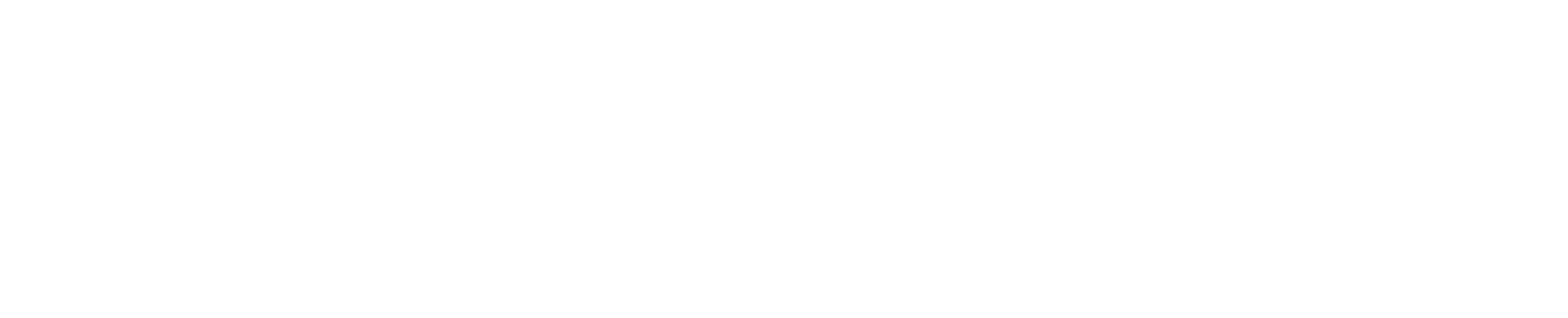 Partner Logo 18