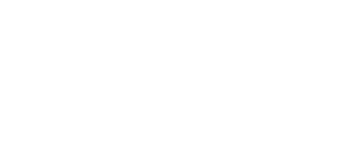 Partner Logo 13
