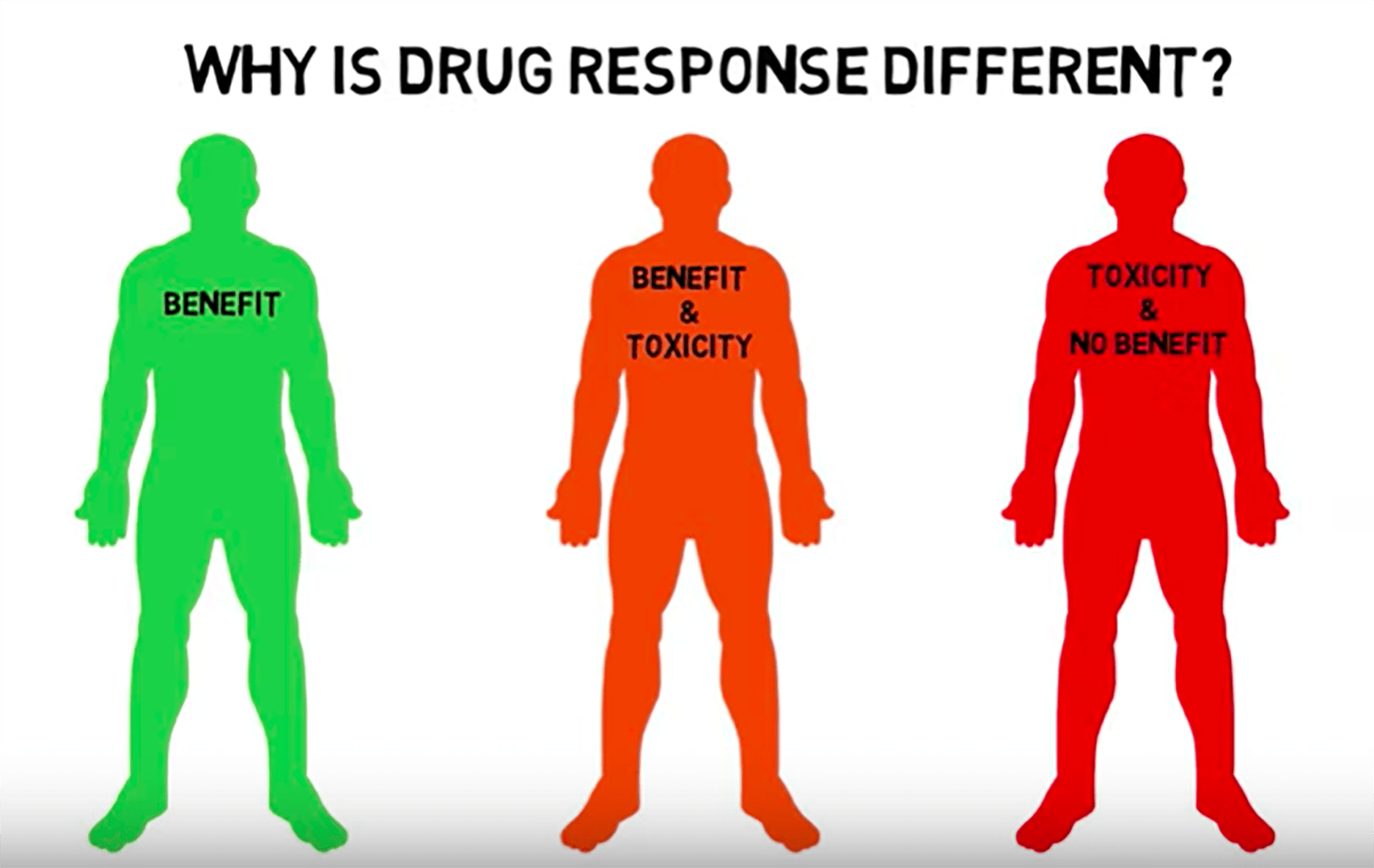 Do Gut Bacteria Contribute To Drug Metabolism?