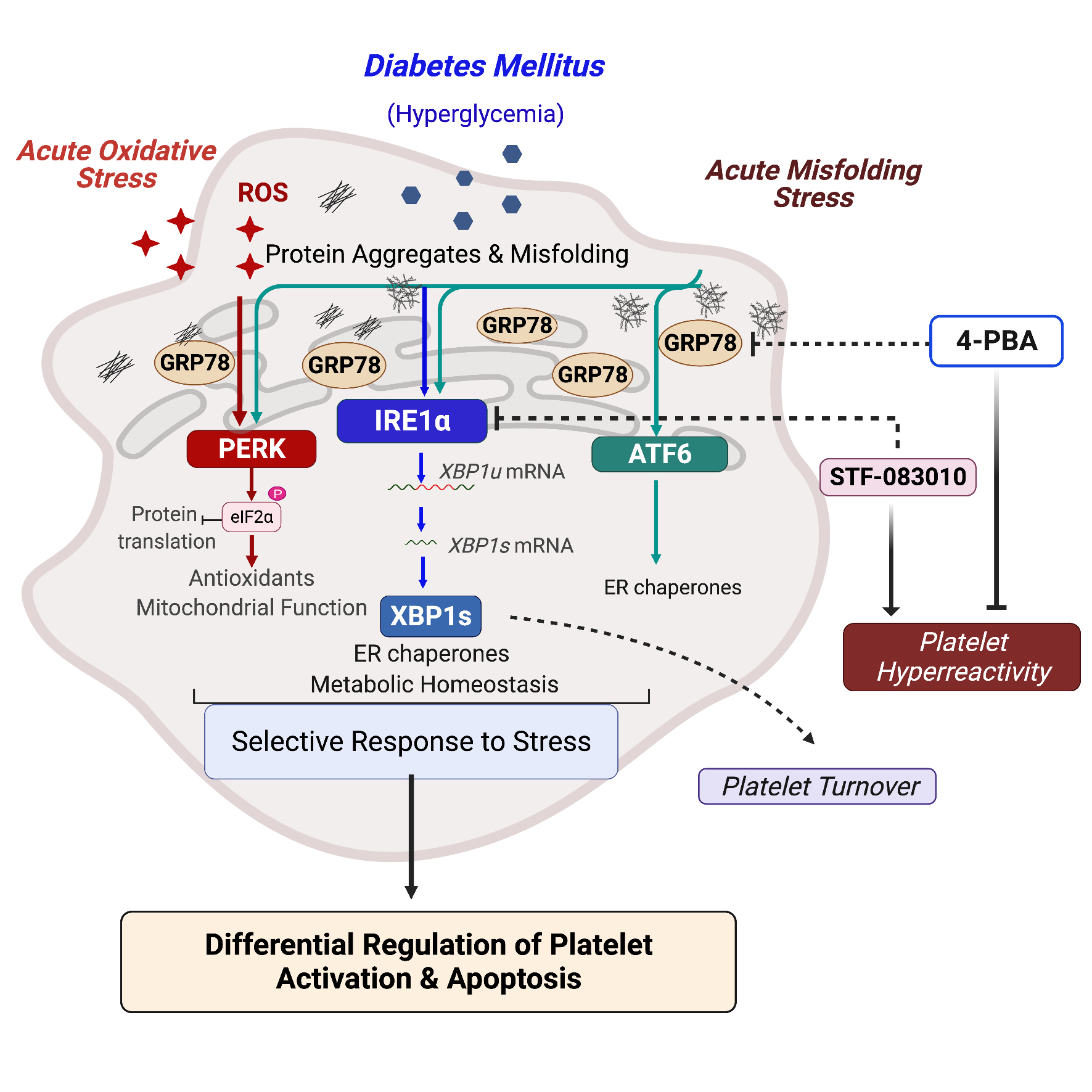 how-diabetes-can-affect-your-body-infographic-diabetes-cdc
