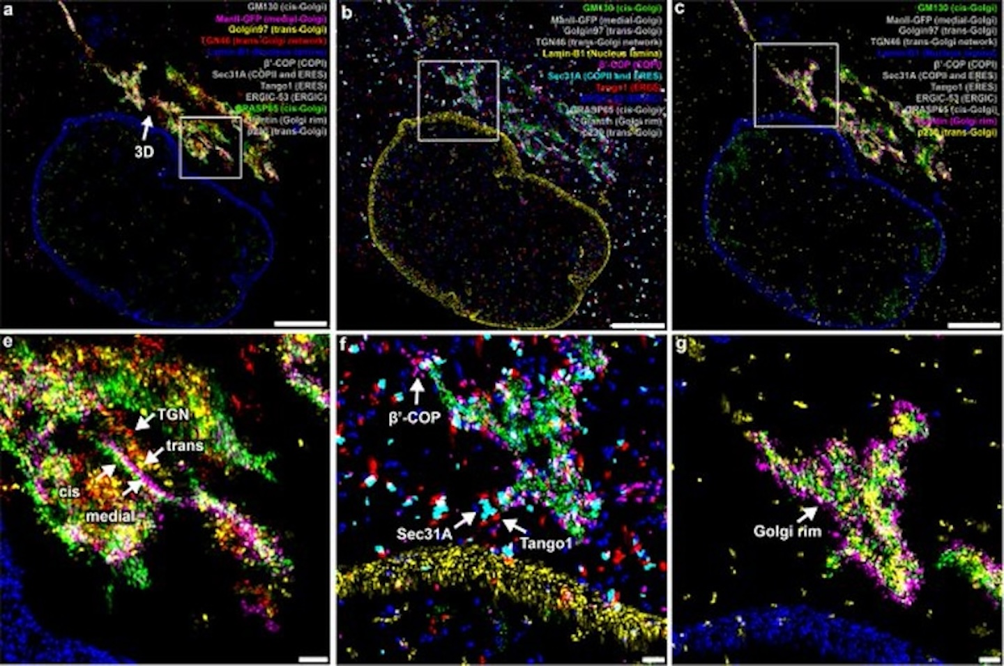 new research discoveries