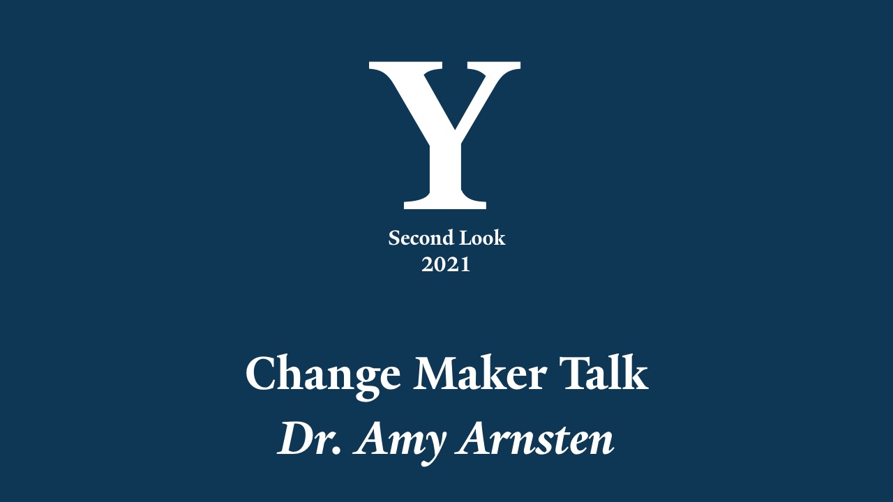 Second Look Change Maker Talk by Amy Arnsten
