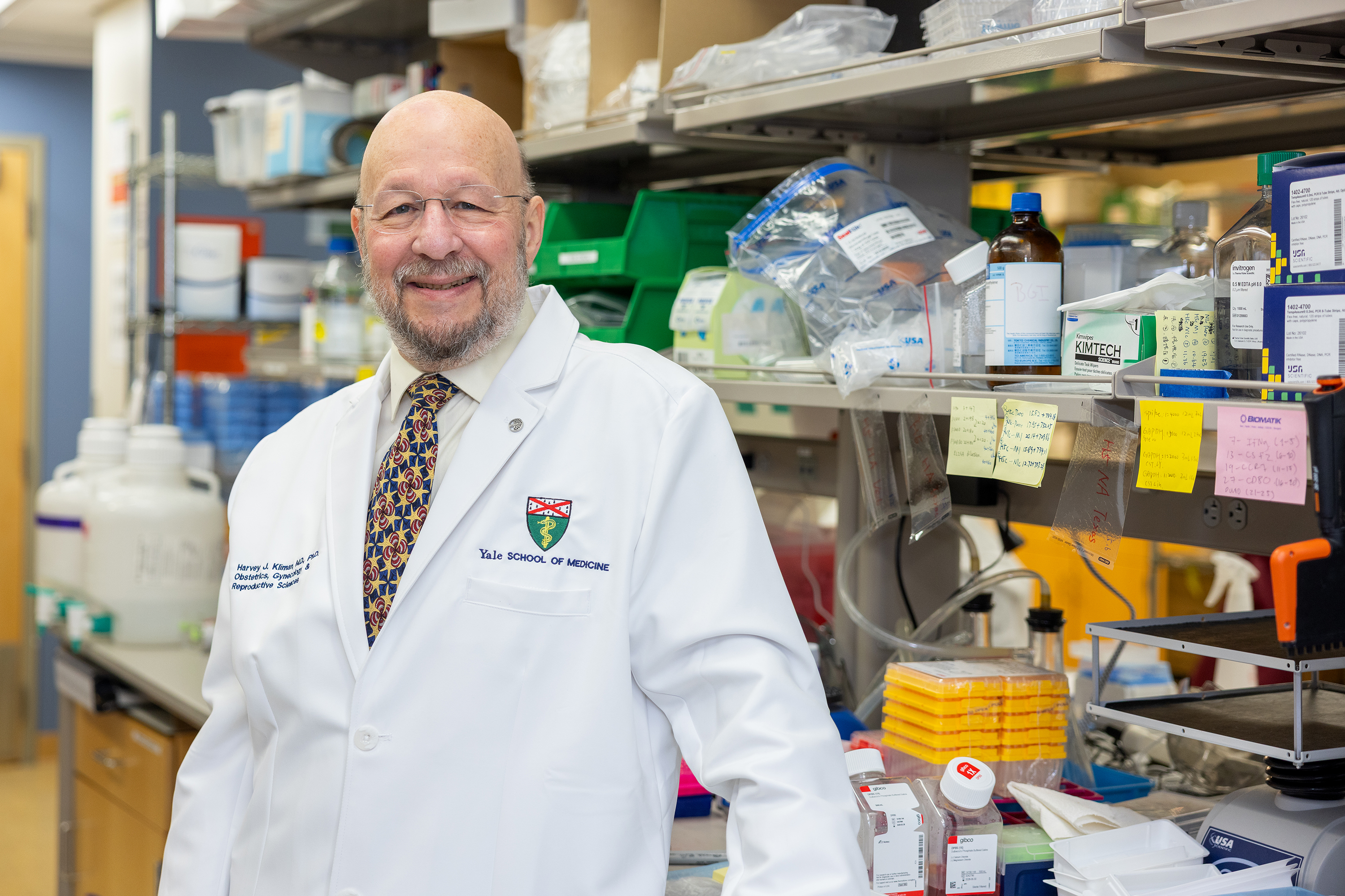 Image of Image of Harvey Kliman, MD, PhD