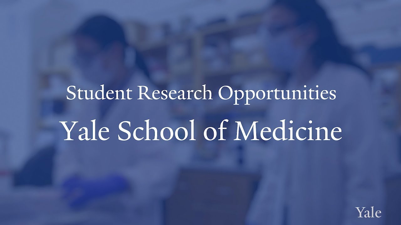 undergraduate research opportunities at yale