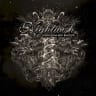 Endless Forms Most Beautiful cover