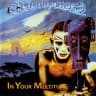 In Your Multitude cover