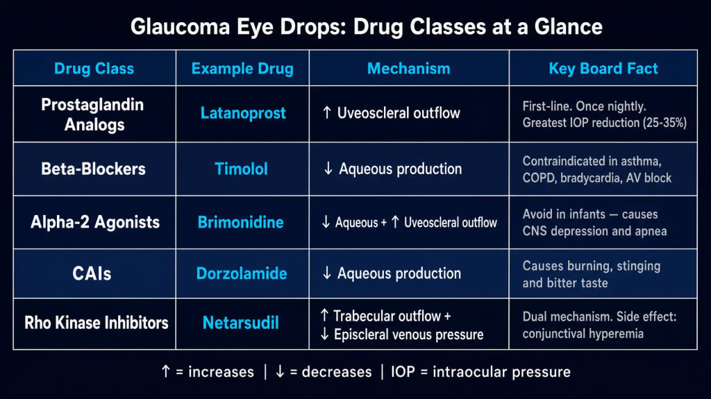 Reference table of the 5 glaucoma eye drop classes: Prostaglandin Analogs (latanoprost, increases uveoscleral outflow, first-line), Beta-Blockers (timolol, decreases aqueous production, contraindicated in asthma), Alpha-2 Agonists (brimonidine, dual mechanism, avoid in infants), CAIs (dorzolamide, decreases aqueous production), and Rho Kinase Inhibitors (netarsudil, dual mechanism, conjunctival hyperemia).