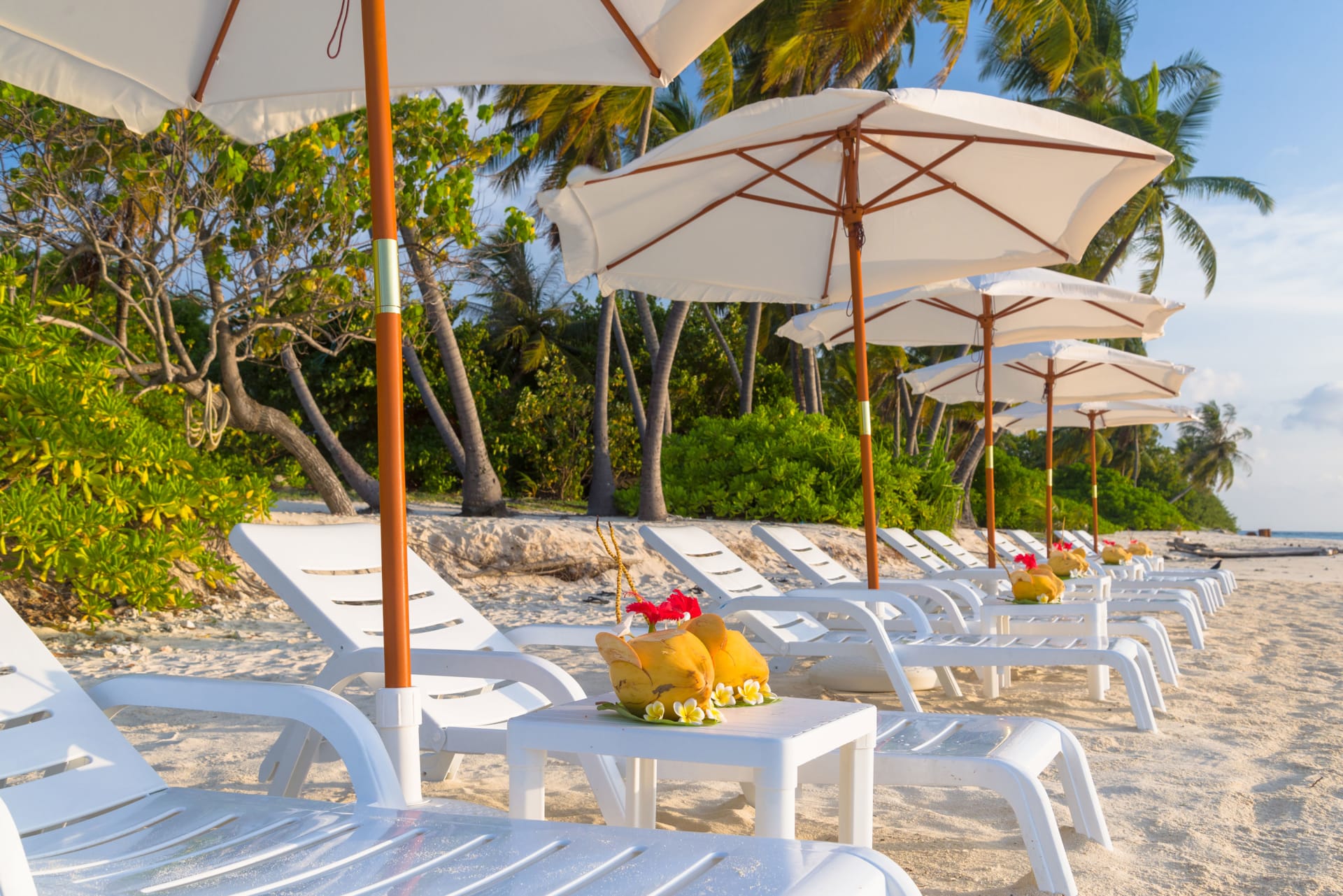 Sabba Summer Suite