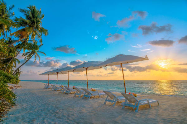 Best guest house experience in the Maldives