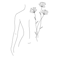 イラスト(健康的な美しさ)