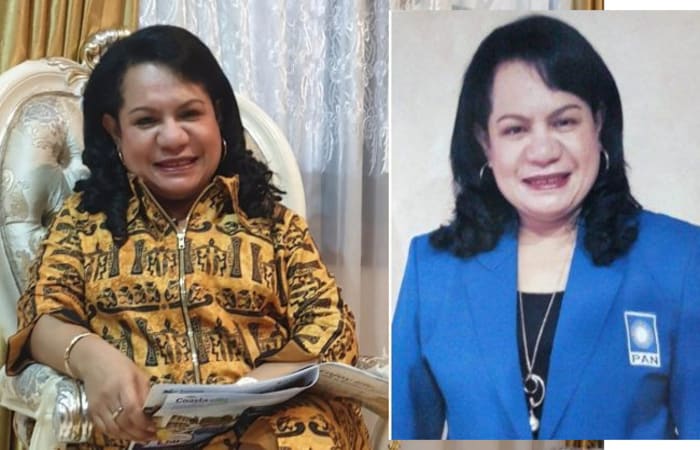 Cari Tahu, Mengenal Rosaline Irene Rumaseuw, Wasekjen PAN yang Minta Pemerintah Bikin RS Khusus Kalangan Pejabat