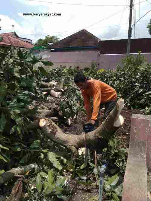 Jasa tebang pohon depok 081292127731