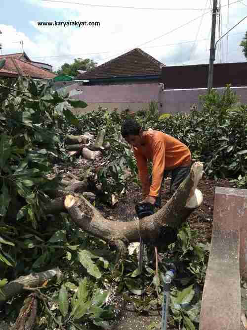 Jasa tebang pohon depok 081292127731