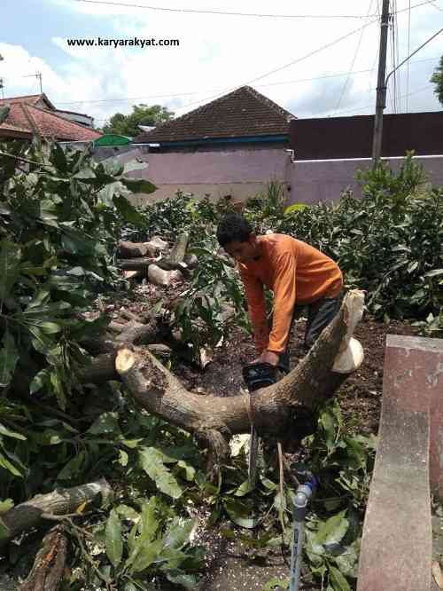 Jasa tebang pohon depok 081292127731