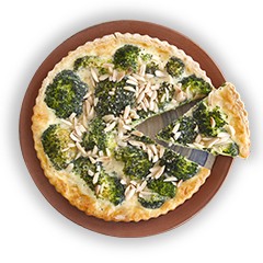 הצעות לאירוח