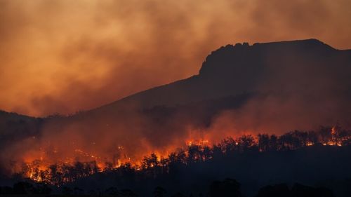 Forest fire: Intersectionality And Esg