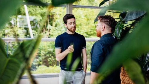 Two business colleagues talking and sharing ideas amongst some plants in a green office environment.