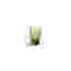 Olivia Oval Colour Infused Glasses, Set of 4