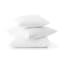 Fine Fibre Scatter Cushion Inner - 55cm x 55cm