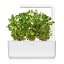 Lifestyle image of Click & Grow Oregano Seed Pod Refill for Smart Garden, Pack of 3