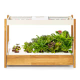 Click & Grow Smart Garden 25 Indoor Gardening Kit - White