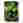 Charlotte Rhys Under the Leaves Fragrance Sachet, 10g